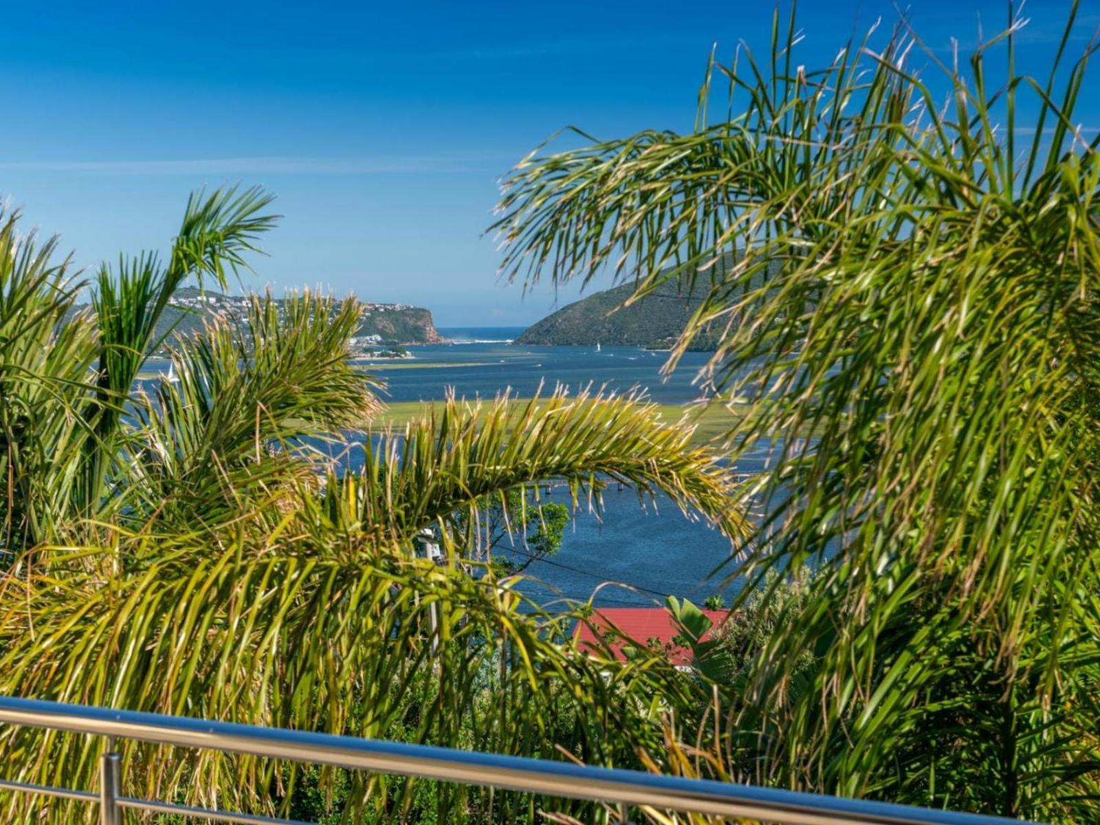 Guest House The Lazy Lion Knysna Zewnętrze zdjęcie