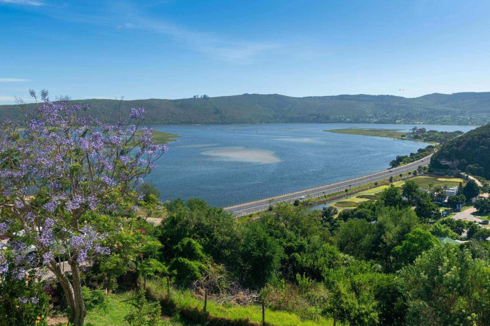 Guest House The Lazy Lion Knysna Zewnętrze zdjęcie