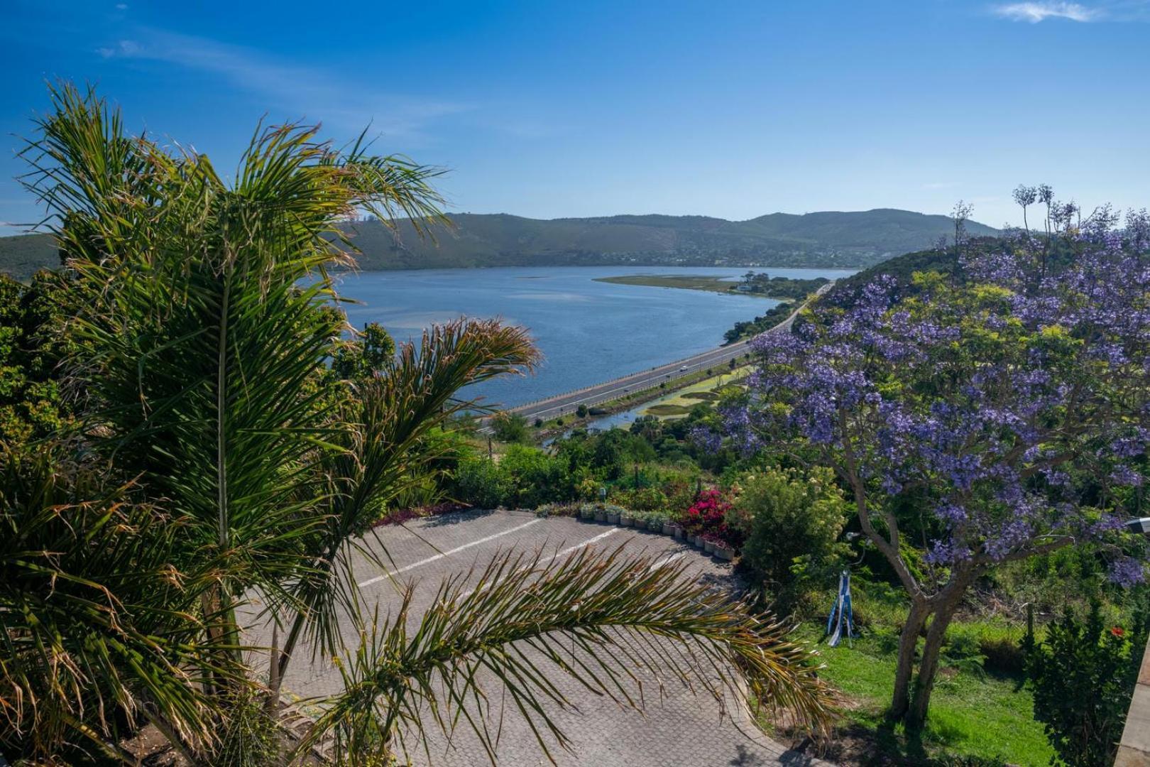Guest House The Lazy Lion Knysna Zewnętrze zdjęcie